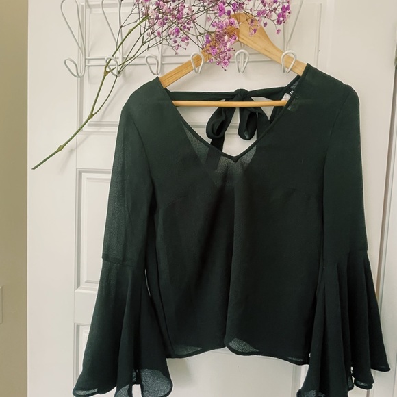 SHEER, BAT WING, RETRO-STYLE V-NECK BLOUSE WITH ADJUSTABLE RIBBON - Picture 6 of 6